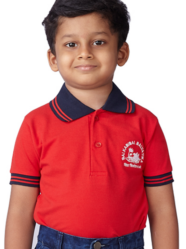 Hansraj Boys T-Shirt